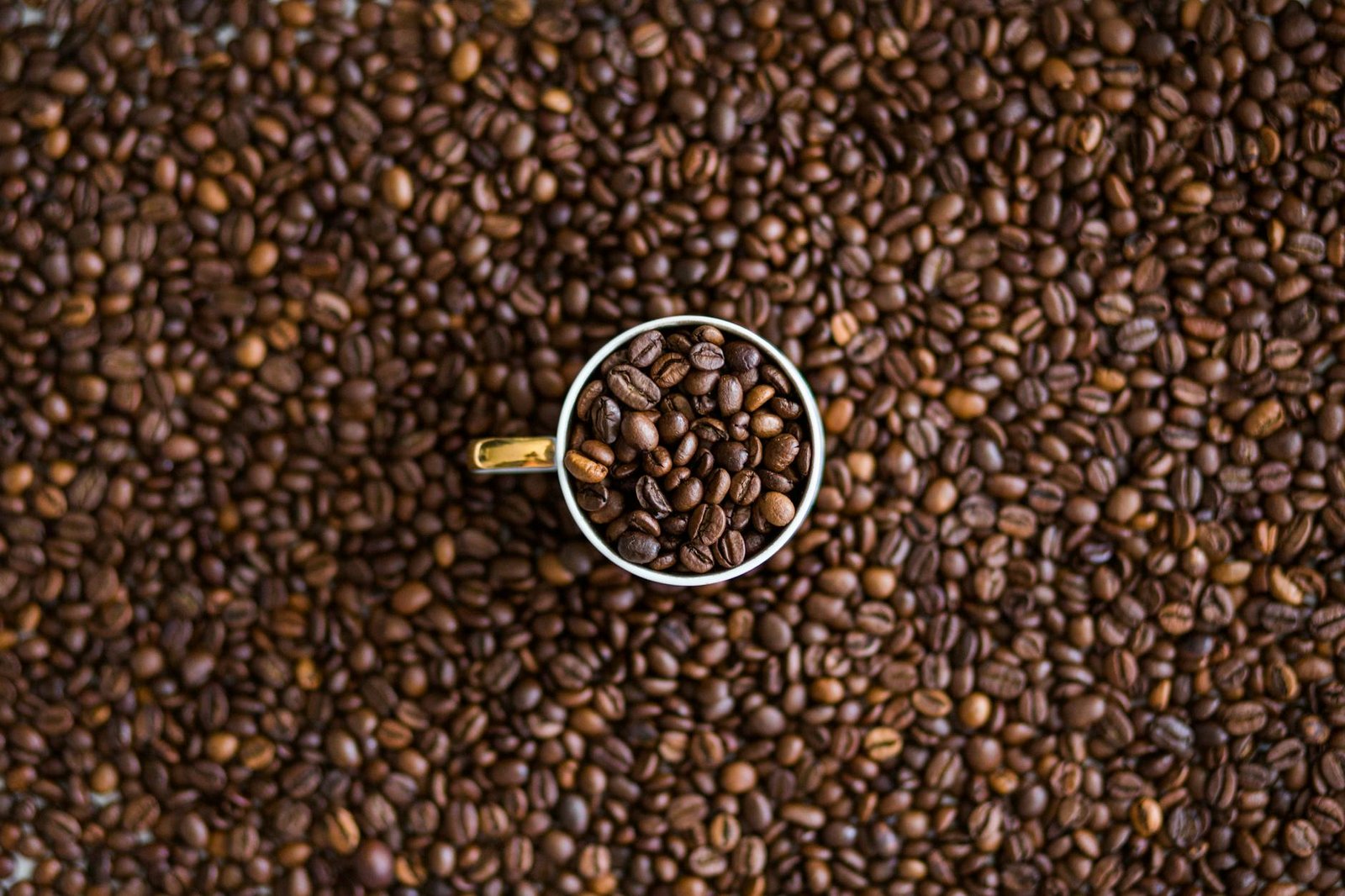Is drinking Coffee daily good for your health?